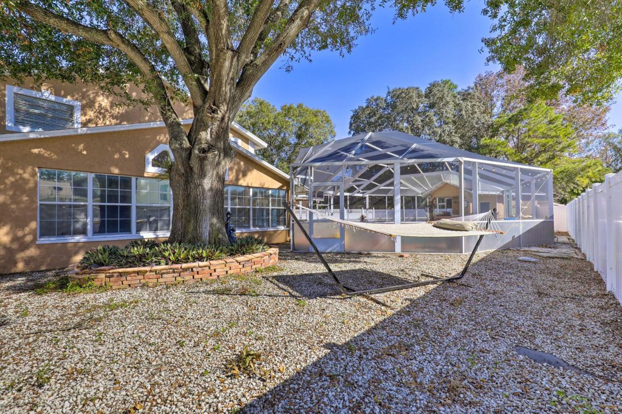 Cozy Home In Heart Of Tampa With Lanai And Pool! Ngoại thất bức ảnh