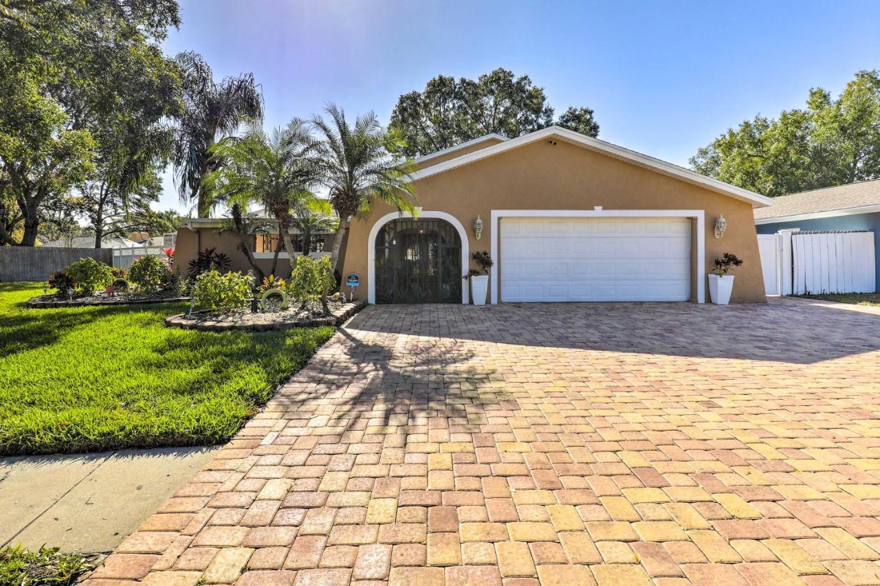 Cozy Home In Heart Of Tampa With Lanai And Pool! Ngoại thất bức ảnh